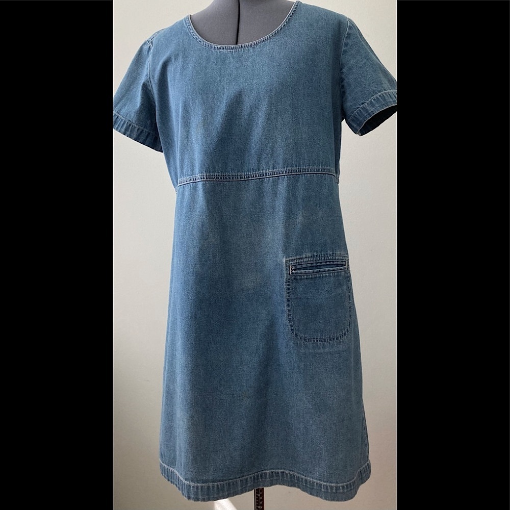 Denim A line Dress              Boston Classics